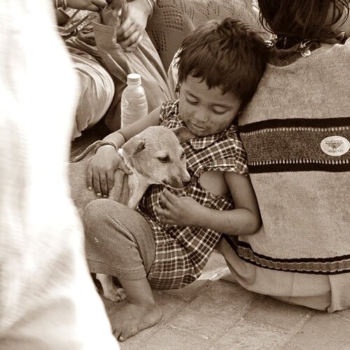 Street friends