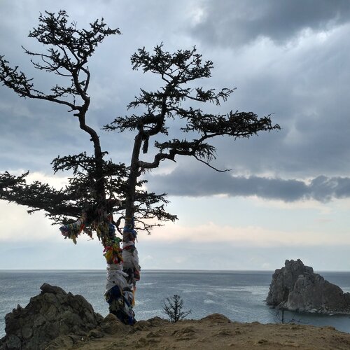 Photo #1911201