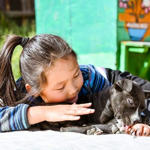 lucky dog mongolia