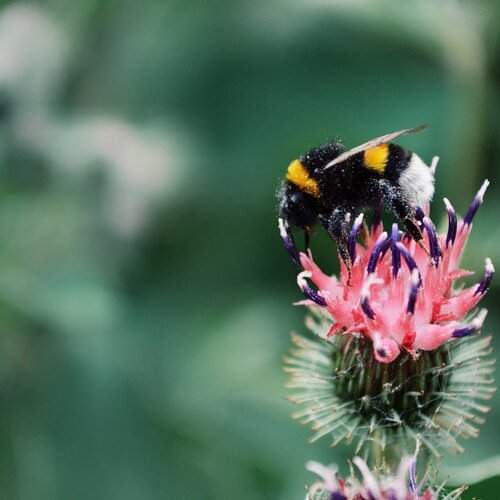 Photo #1911876