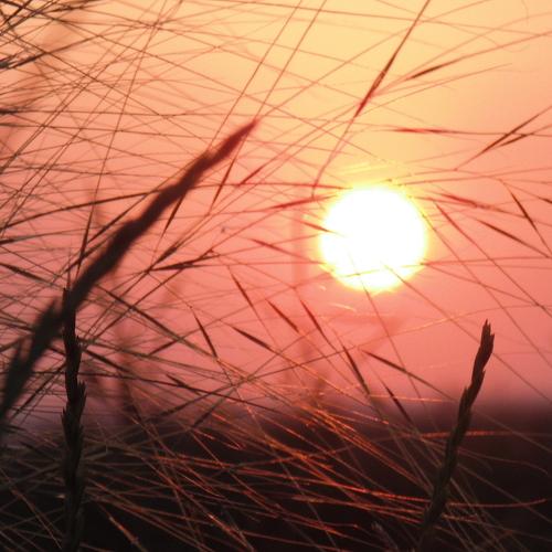 Photo #1911963