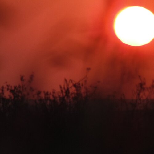 Photo #1911972