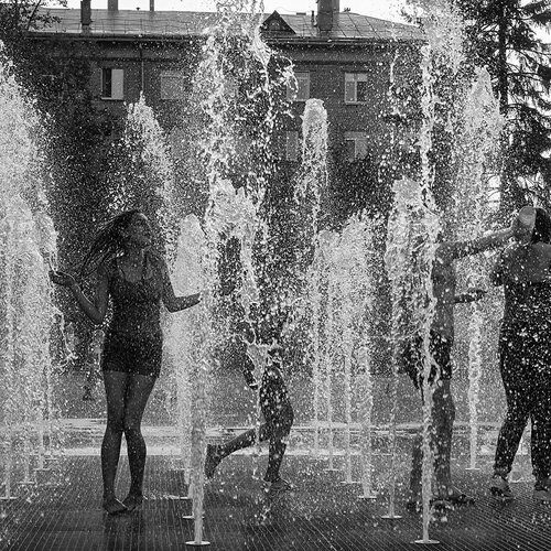 Photo #1912146