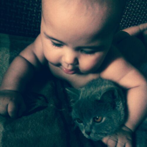 Photo #1912456