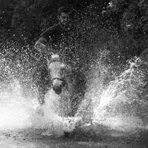 The Horseman