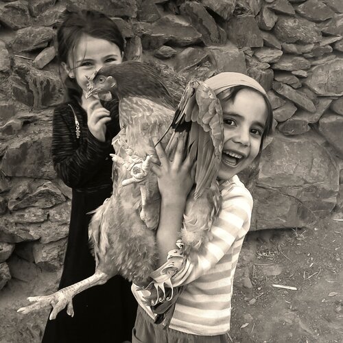 My lovely chicken