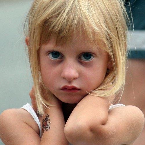Photo #1913649