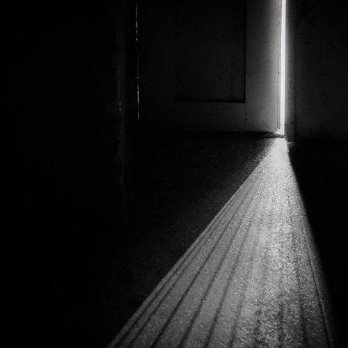 Photo #1913813