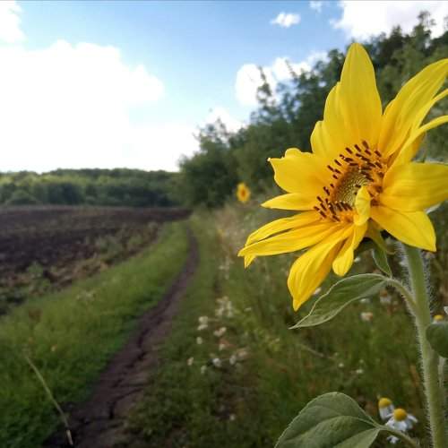 Photo #1914233
