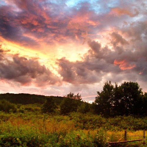 Photo #1914246
