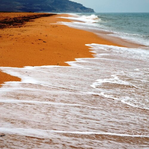 Photo #1914706