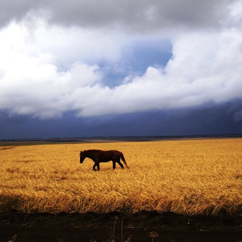 Photo #1914716