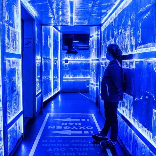 Restroom Blues