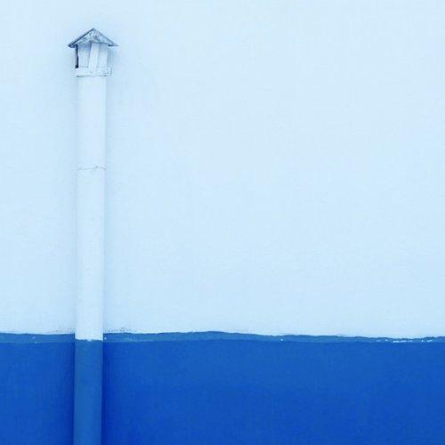 Photo #1916269