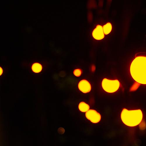Follow the light