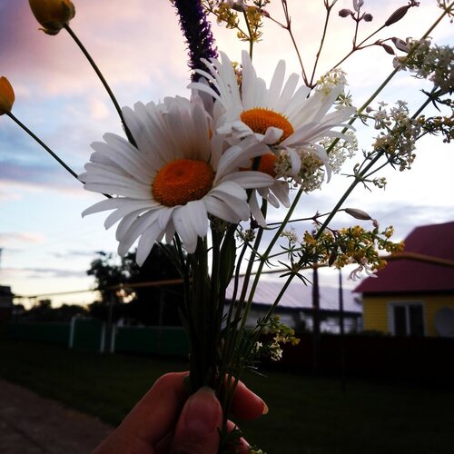 Photo #1917264