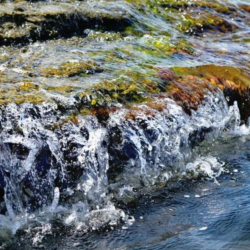 Photo #1917636