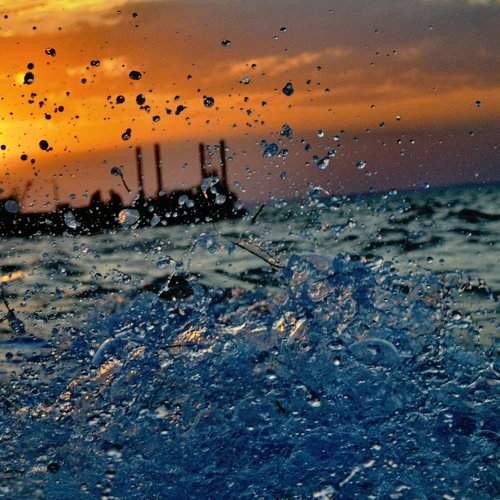 Photo #1917641