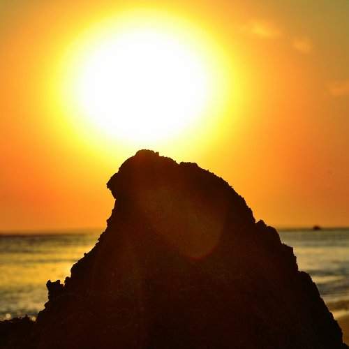 Photo #1917645