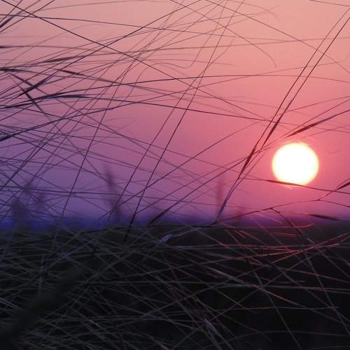 Photo #1917770