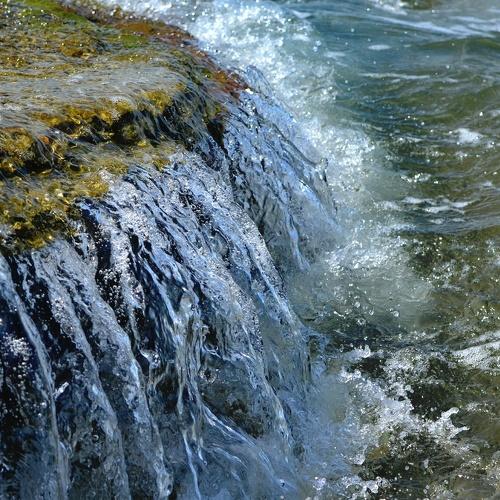 Photo #1918475
