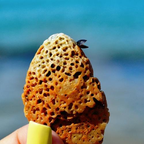 Photo #1918478