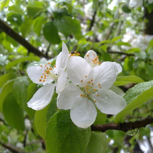 Photo #1919261