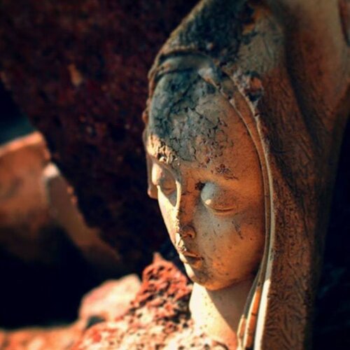 Photo #1919351