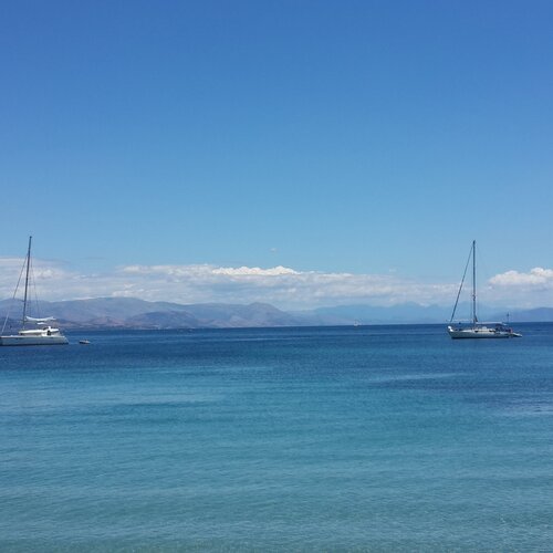 Photo #1919824