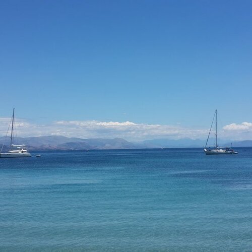 Photo #1920339