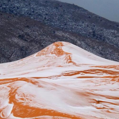 snow in sahara