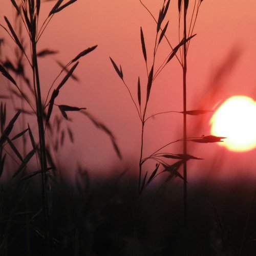 Photo #1921446