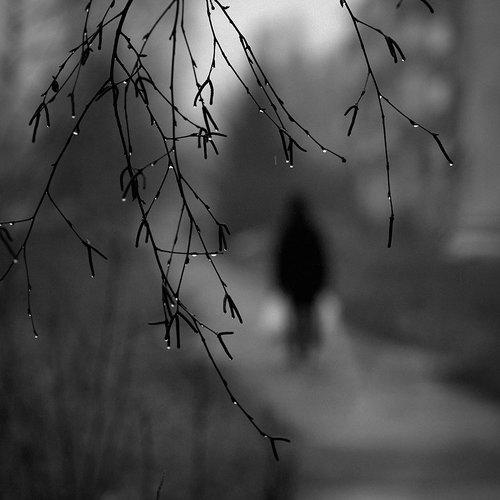 Photo #1921910