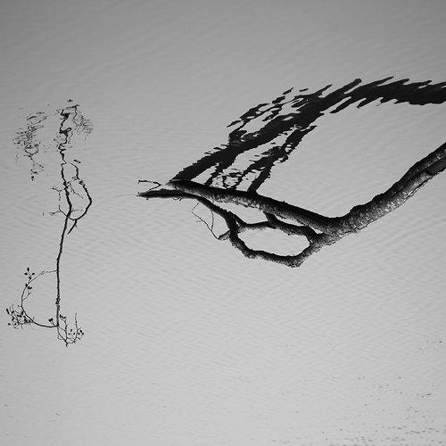 Photo #1921958