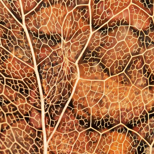 Hidden Patterns