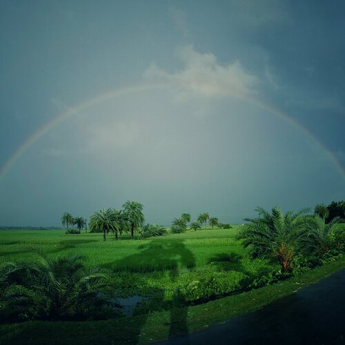 Rainbow