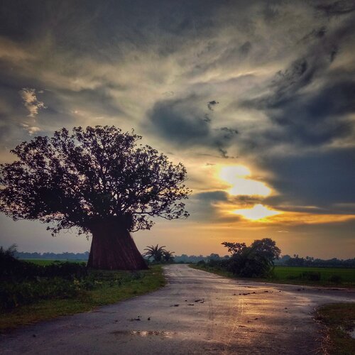 Sunset