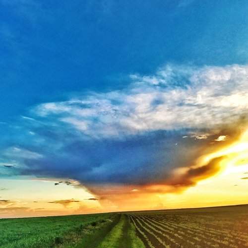 Photo #1922803