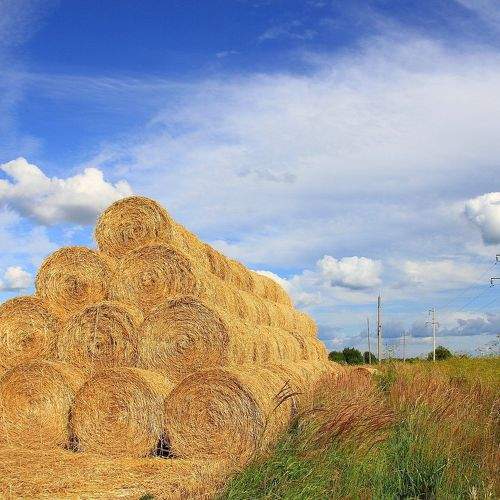 Скошено и сложено