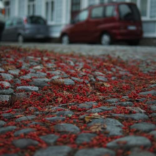 Autumn is coming