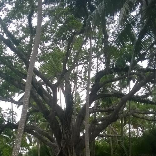 Beauty of nature
