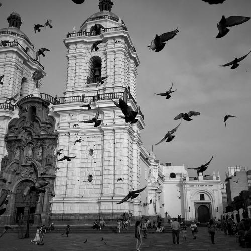Church and Birds