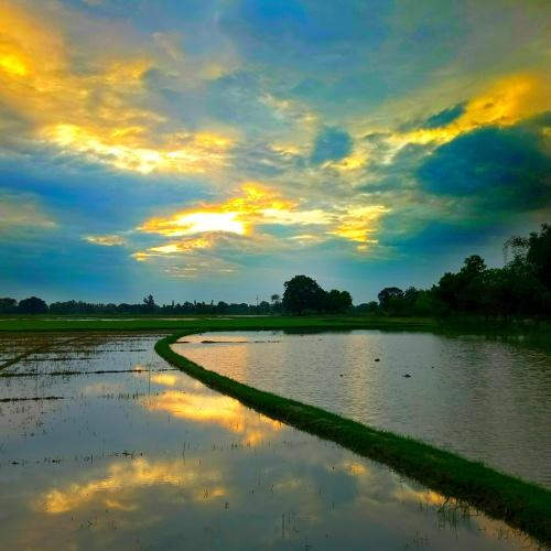 Rain in village