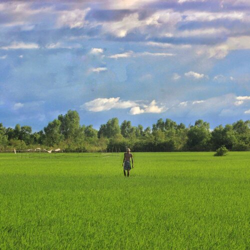 Beautiful land and sky