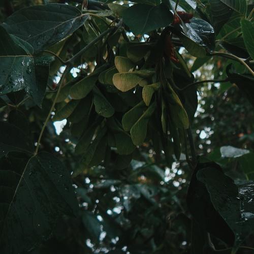 Photo #1925498