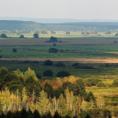 долина реки Жиздра