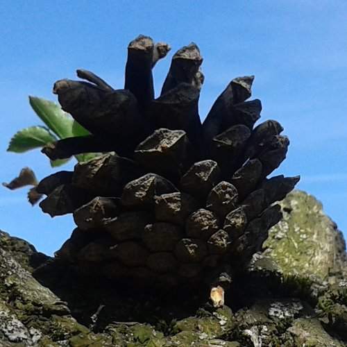 Photo #1928524