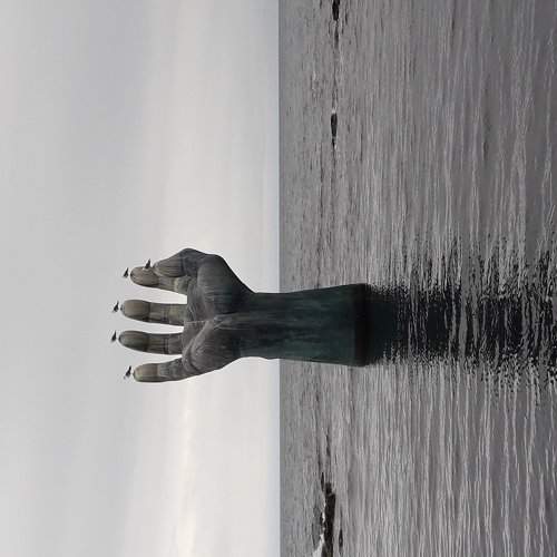Рука в море