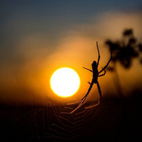 In the quietness of evening...