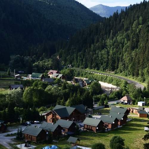 Лесная сказка.
